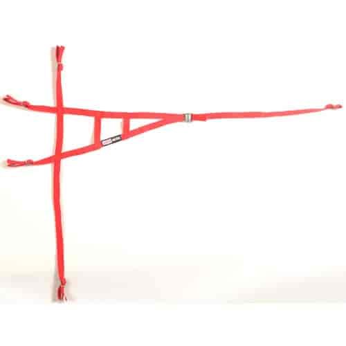 Window Net for Roll Cage Non-SFI