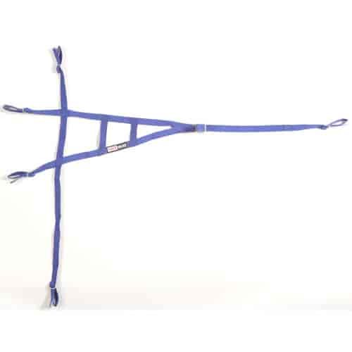 Window Net for Roll Cage Non-SFI
