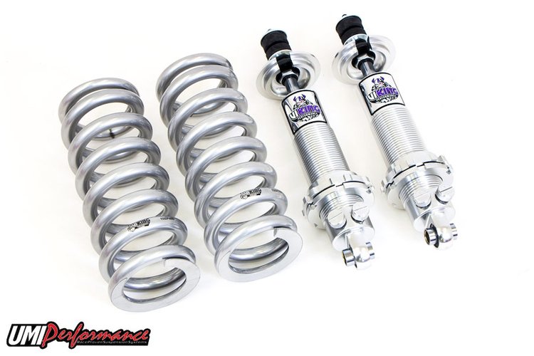 A204-250S 1968-1972 GM A-Body Viking C/O Kit, Double Adjustable- Polyurethane; Silver