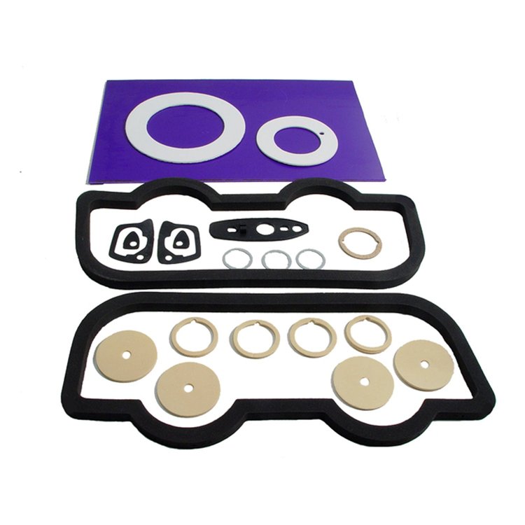 LGK 2716-100 Lens Gasket Kit, 21-Piece Set