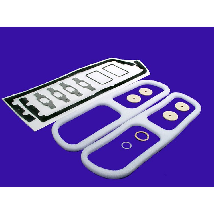LGK 2722-100 Lens Gasket Kit, 16-Piece Set
