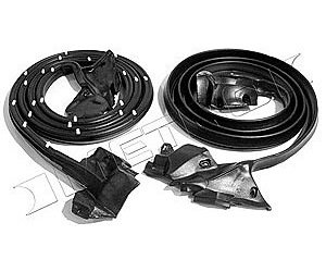 Molded Door Seals with Clips 1973-77 GM A-Body