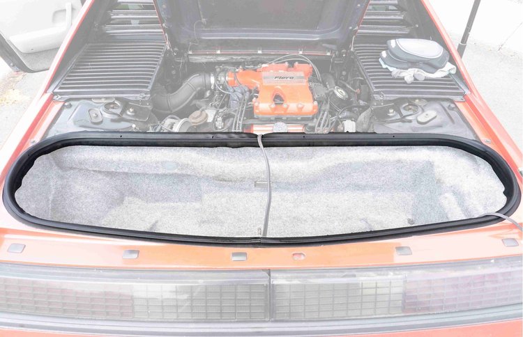 TRUNK SEAL NOTCHBACK