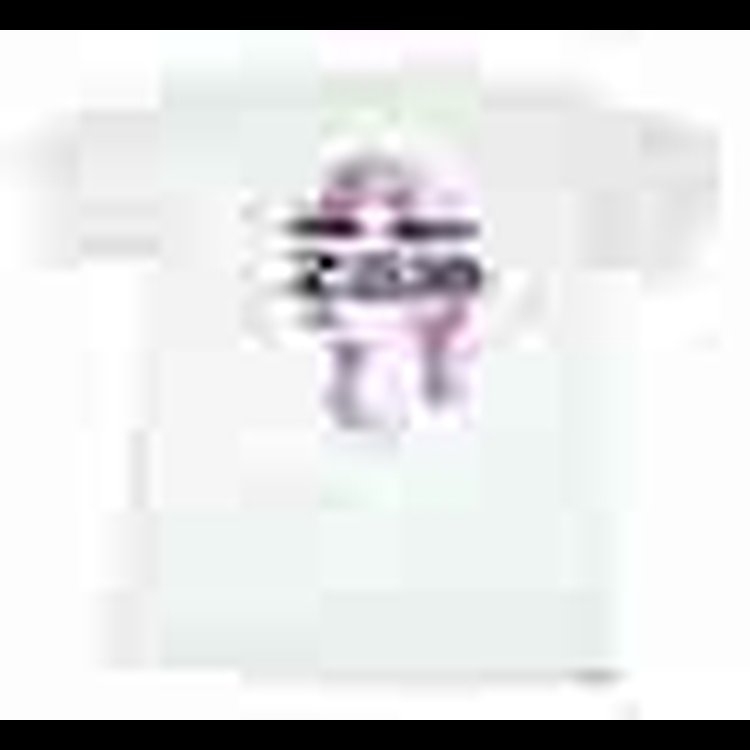 T-SHIRT WIN WITH ZEX LARGE