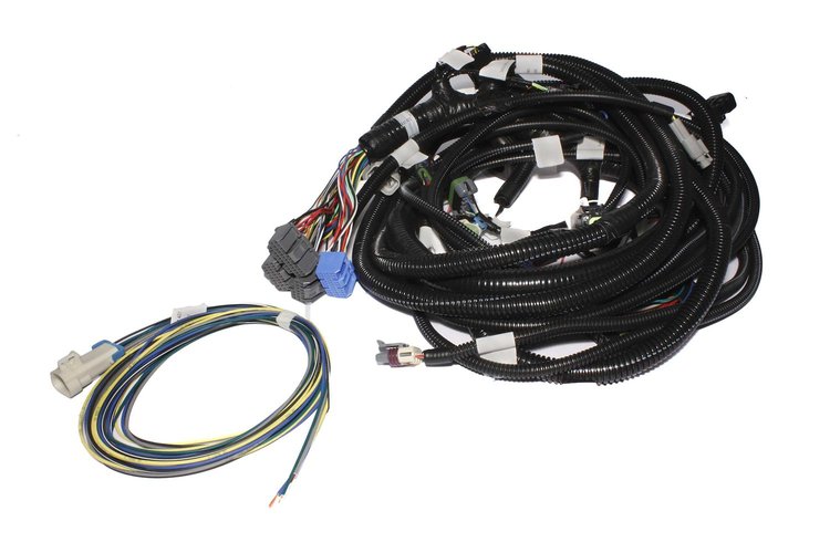 XFI Main Wiring Harness GM LS1, LS2 & LS7