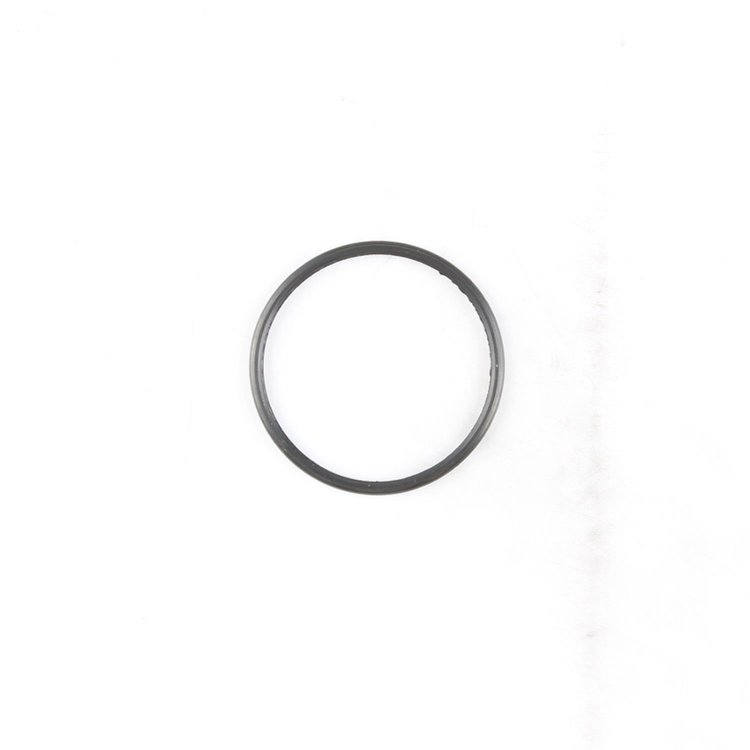 C15073 Cummins 5.9L ISB CR, 6.7 ISB Thermostat Gasket