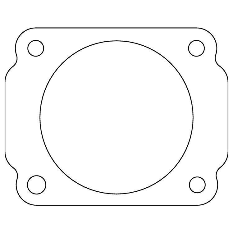 C15078 Ford 4.6L/5.4L SOHC Throttle Body Gasket