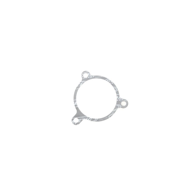 C4804-020 BMW M20B25/M20B27 Water Pump Gasket