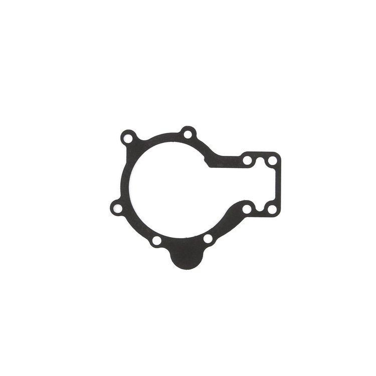 C4903-018 Jaguar 1970-1987 XK6 Water Pump Gasket
