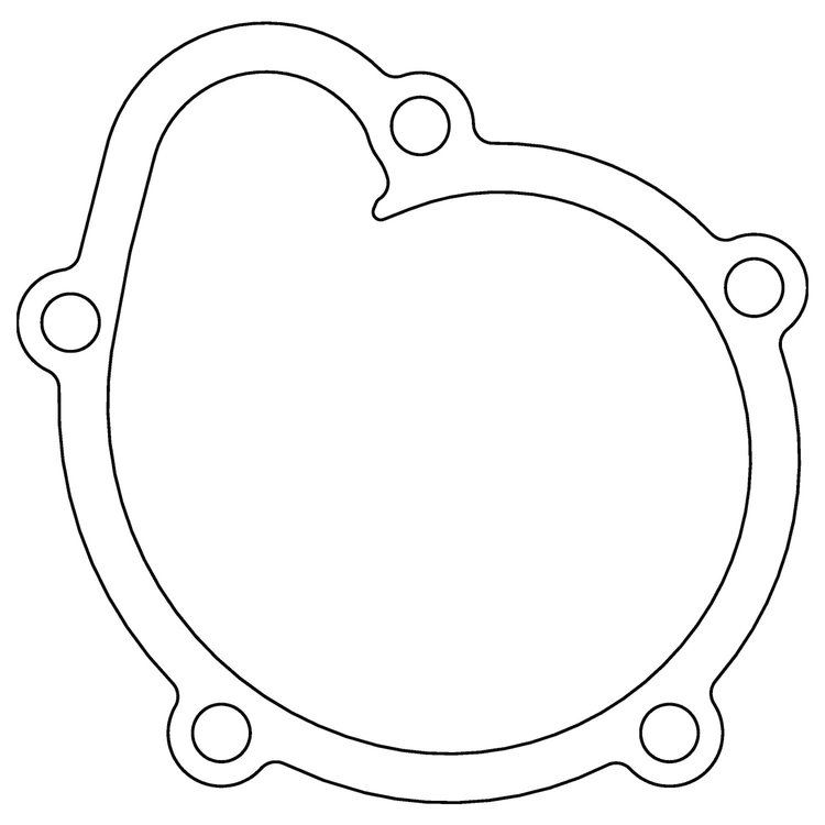 C4913 Nissan E13/E15/E16 Water Pump Gasket