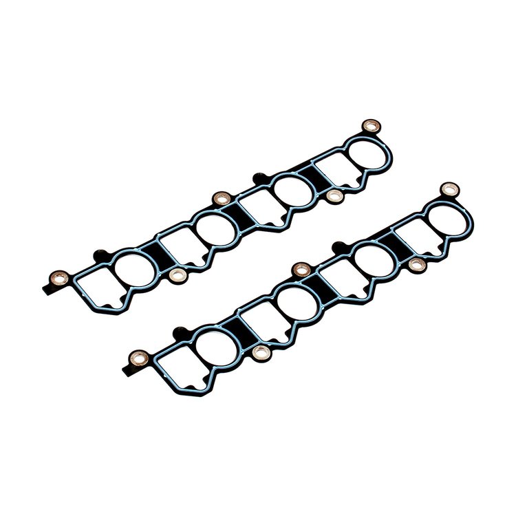 C5181 Ford 1996-1998 4.6L Modular V8 Intake Manifold Gasket Set