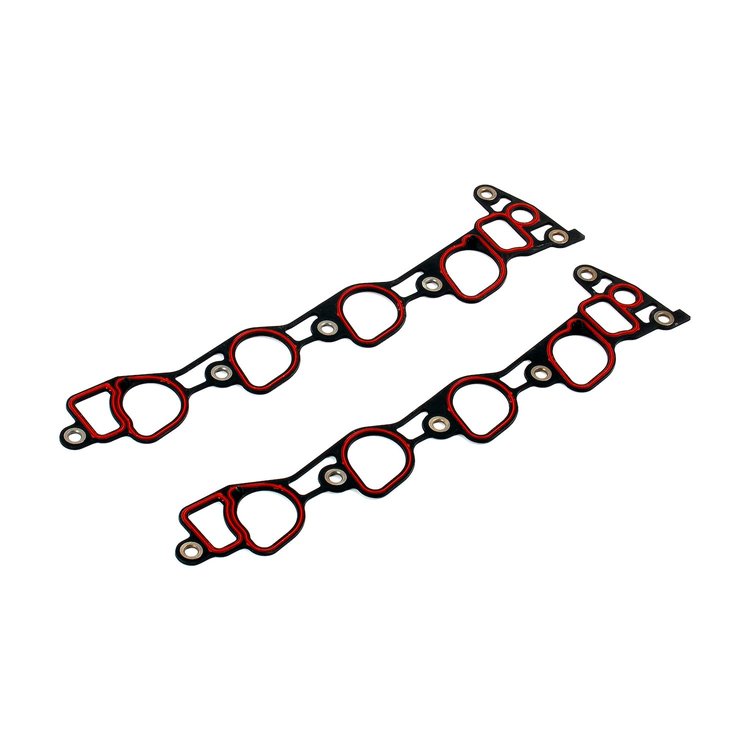 INTAKE GASKET 4.6 DOHC