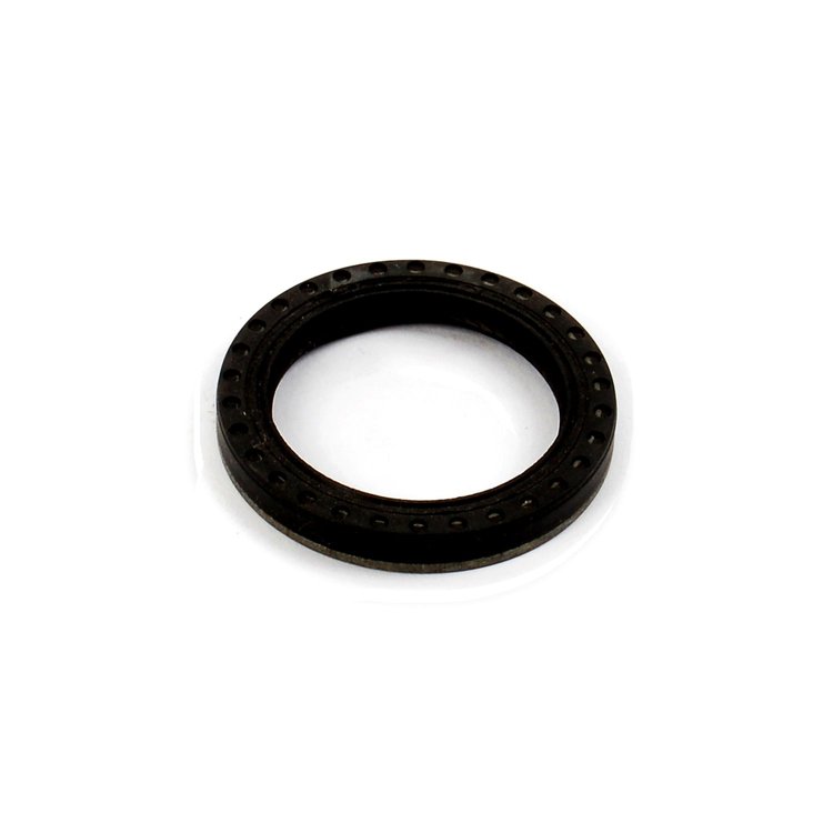 C5192 Ford 1996-1999 4.6/5.4L Modular V8 Timing Cover Seal