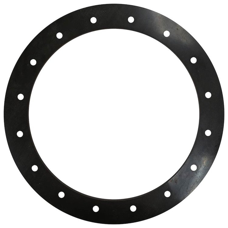 6G-V 6 in. Diameter 16 Hole Viton Gasket