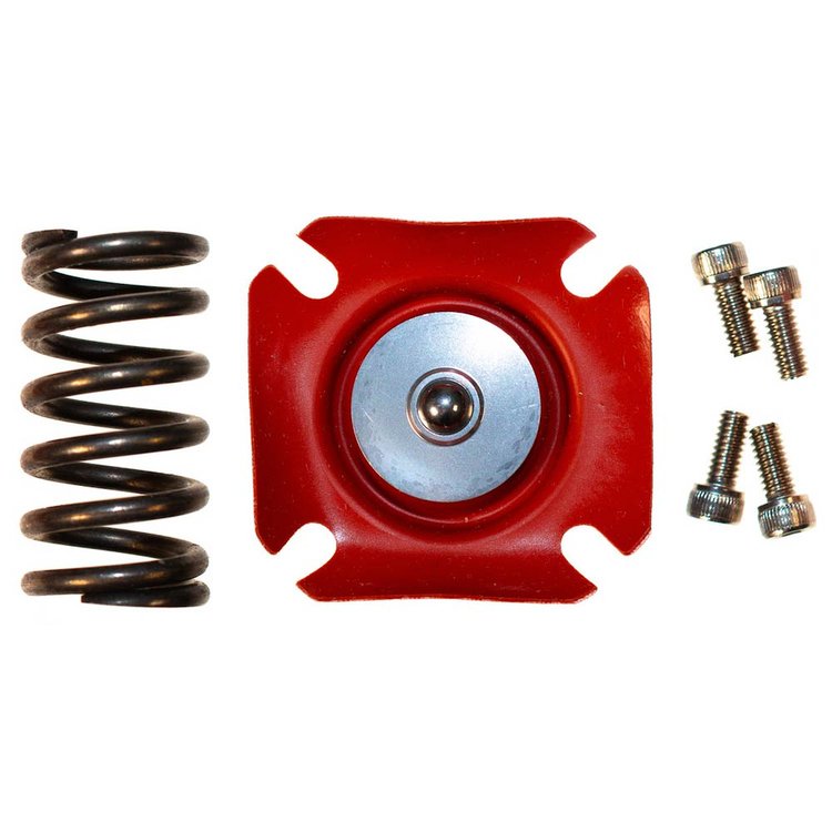 BYP7910-REB Regulator Rebuild Kit for BYP7910