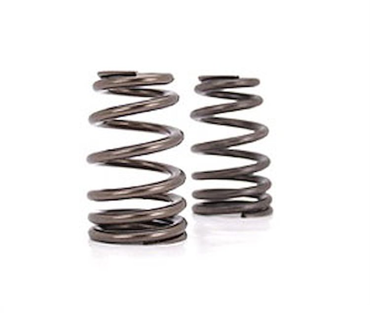 Beehive Valve Spring Universal