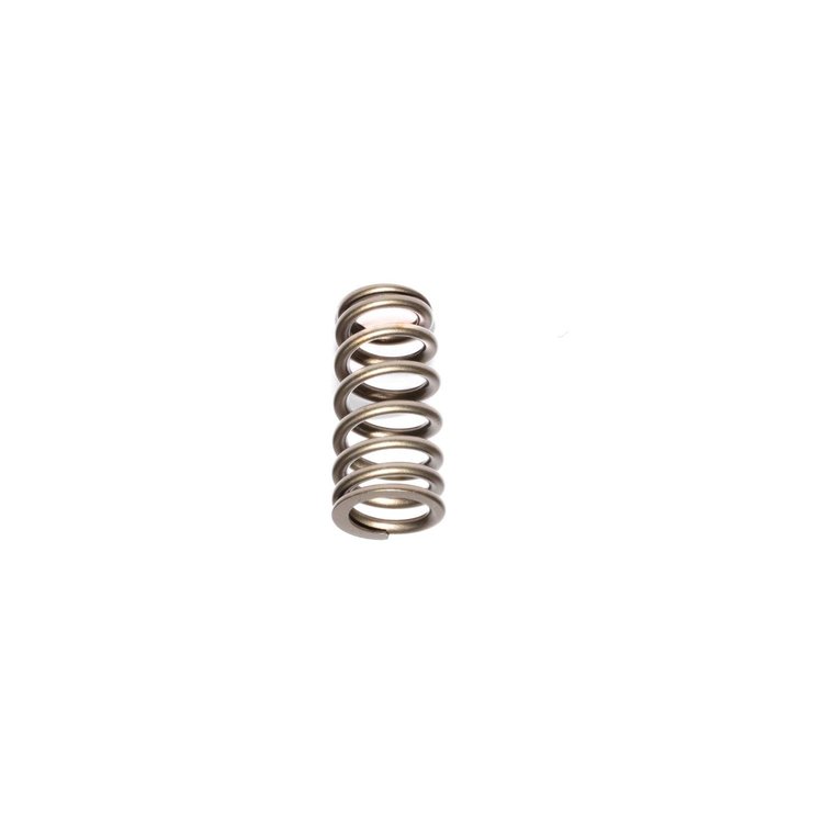 Beehive Valve Spring Ford 4.6L/5.4L 2V & 3V