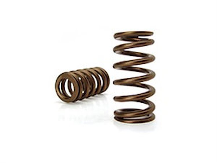 Beehive Valve Spring Universal