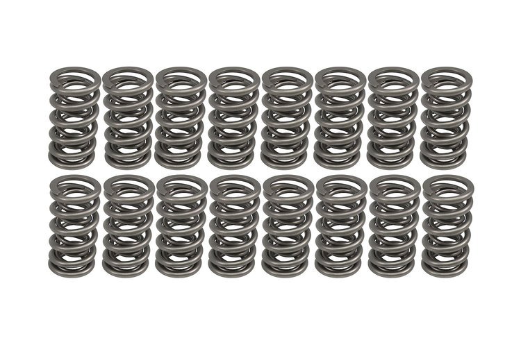 VALVE SPRINGS DUAL .700"