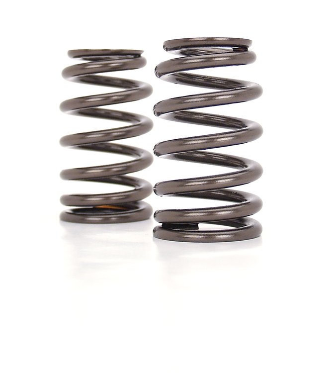 VALVE SPRING BEEHIVE LS