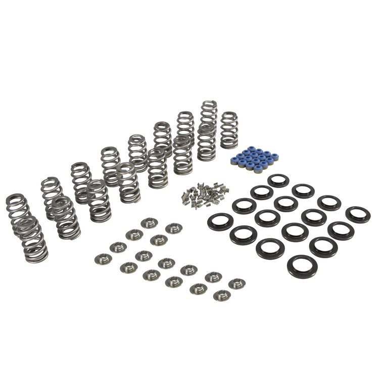 ENGINE VALVE SPRING KIT