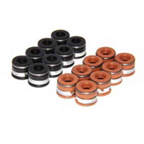 5/16 VITON SEALS
