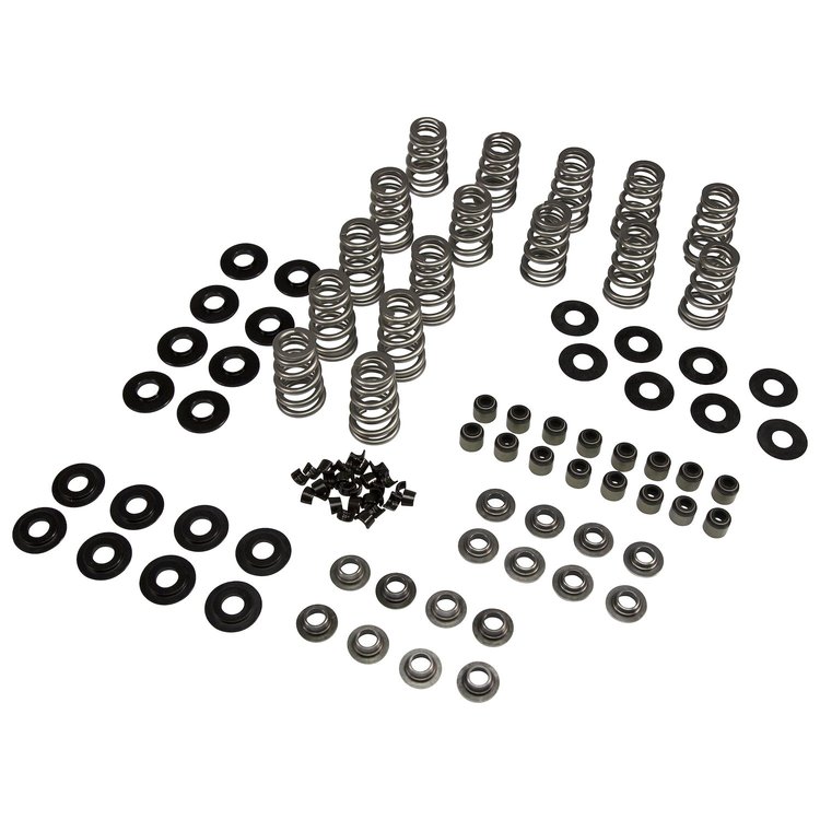 ENGINE VALVE SPRING KIT