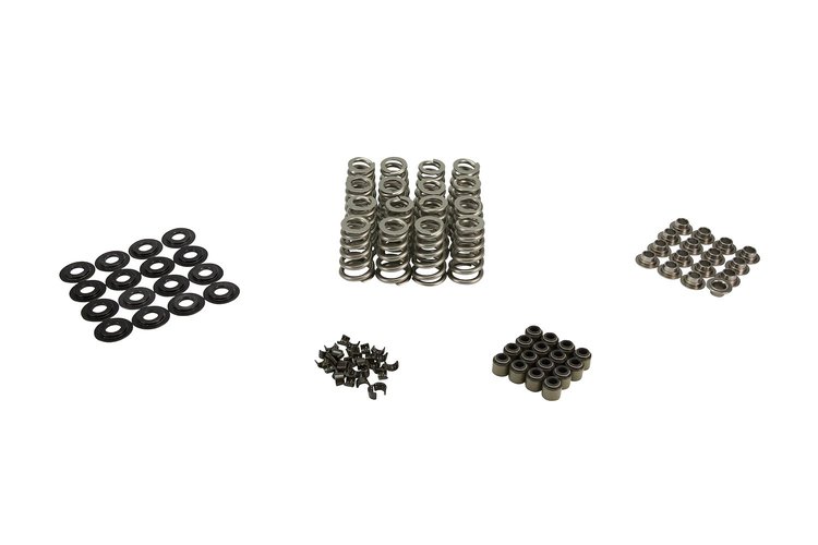 ENGINE VALVE SPRING KIT