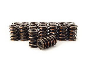 Dual Valve Springs I.D. of Outer Dia.: 1.143"