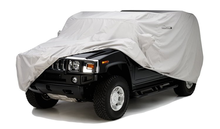 CUSTOM WEATHERSHIELD HD