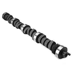 Baja Beast Hydraulic Cam Performance Level: 2