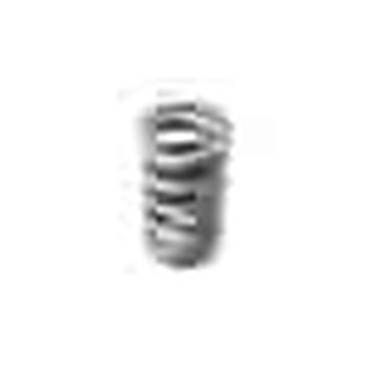 VALVE SPRINGS 1.300 DUAL LS1 / VIPER