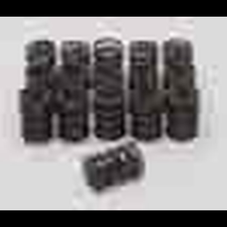 VALVE SPRINGS DUAL 1.095 OD .630 ID