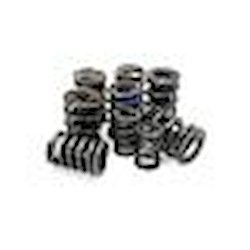 VALVE SPRINGS MITSUBISHI/NEON (SET 24)