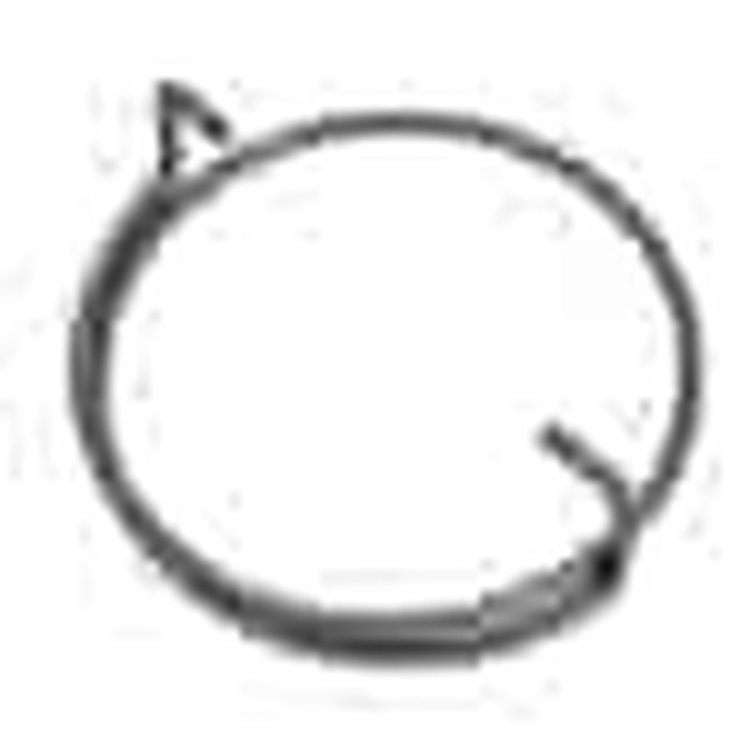 THROW OUT BEARING SPRING