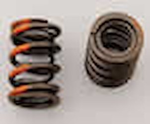 KIT HONDA/ACURA 1.8L LS DUAL SPRING / TI RETAINERS