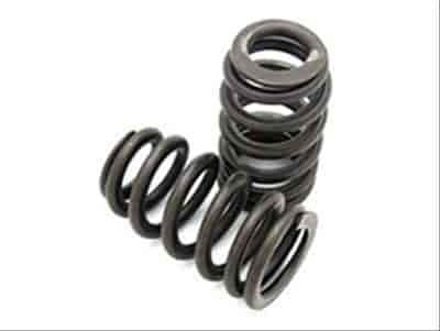 OUTER VALVE SPRING W/DAMPER PKG/2