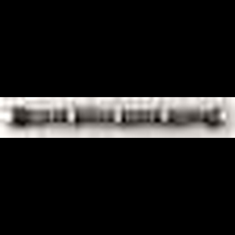 HR-242/372-2S-12 IG camshaft - Ch. 454-502 V8 96-00