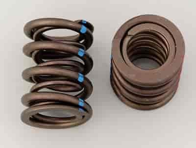 DUAL SPRINGS 99858-99836