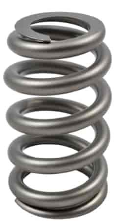 Round Wire Beehive LS Spr