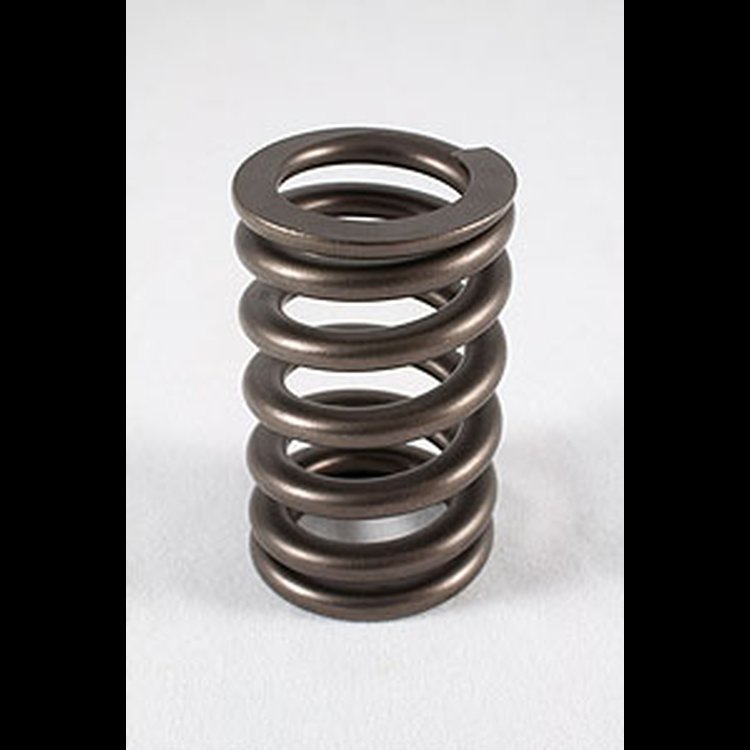RPM 604 Crate Motor Cheater Valve Springs OD: 1.355