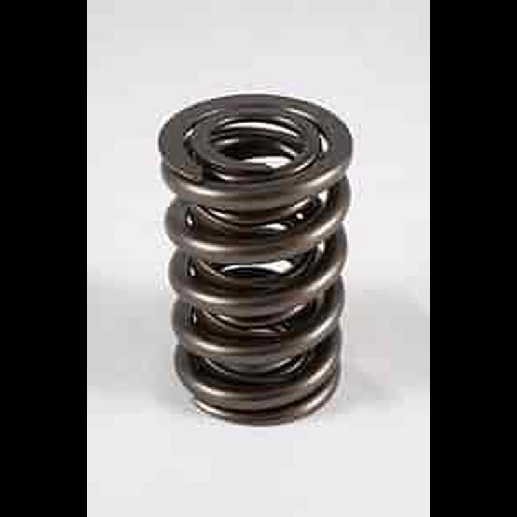 1200 Series Circle Track Valve Spring Spring OD: 1.545