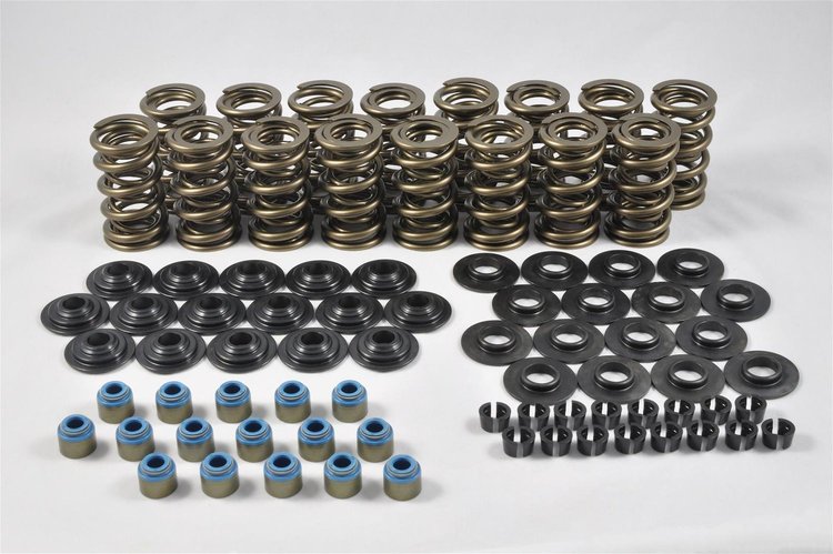 Hot Rod Series Valve Spring Kit LS Engine