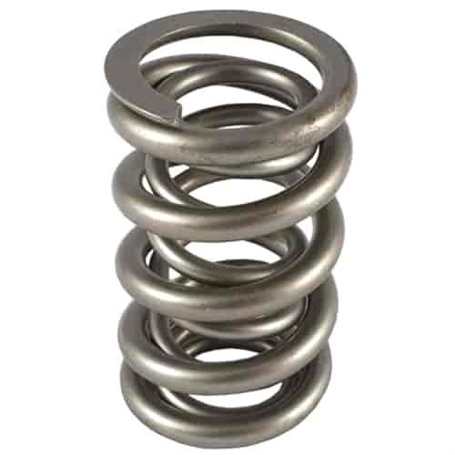 VALVE SPRINGS .650