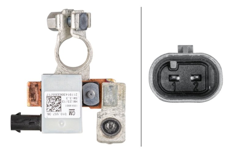 INTELLIGENT BATTERY SENSO