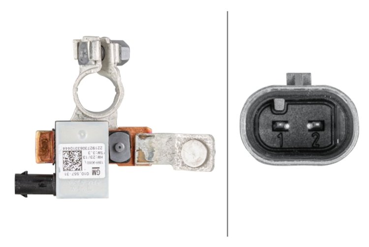 INTELLIGENT BATTERY SENSO