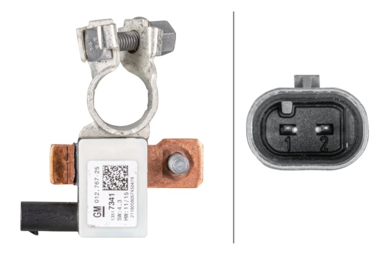 INTELLIGENT BATTERY SENSO