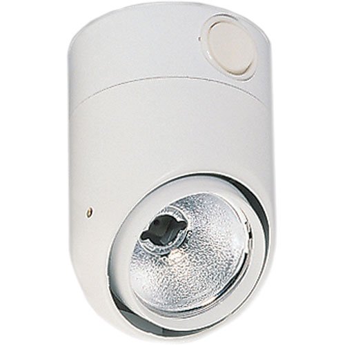 6044 Interior Lamp White Housing w/Switch 12V