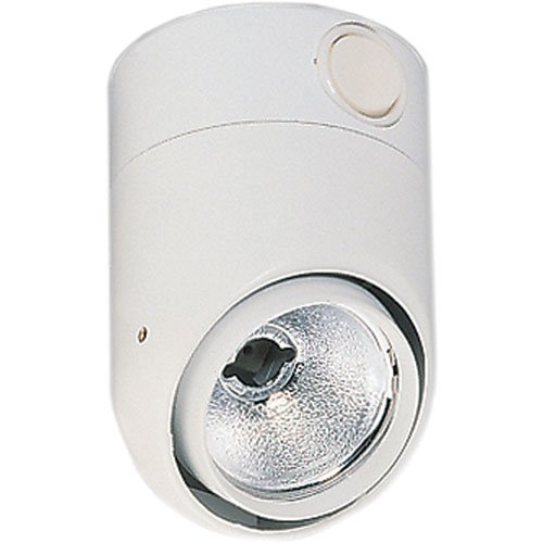 6044 Interior Lamp White Housing w/Switch