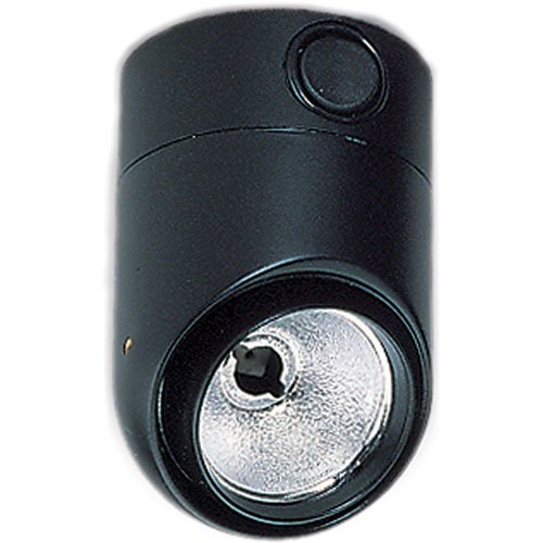 6044 Interior Lamp Black Housing w/Switch